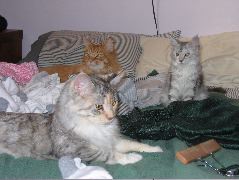 IMG_0623.JPG