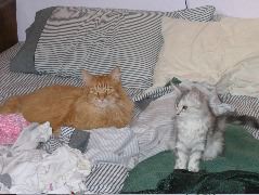 IMG_0625.JPG
