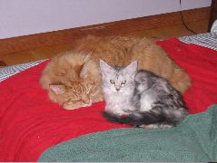 IMG_0627.JPG