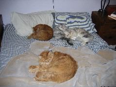 IMG_0629.JPG