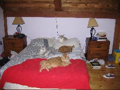IMG_0631.JPG