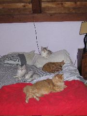 IMG_0632.JPG