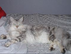 IMG_0634.JPG