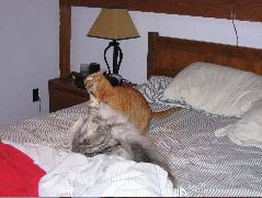 IMG_0635.JPG