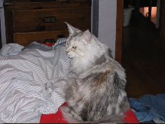 IMG_0636.JPG