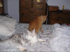 IMG_0637.JPG
