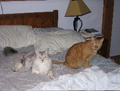 IMG_0638.JPG