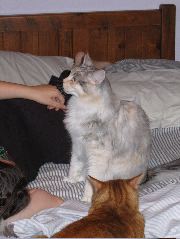 IMG_0642.JPG