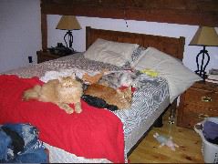 IMG_0643.JPG