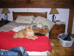 IMG_0644.JPG