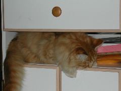 DSCN0775.JPG