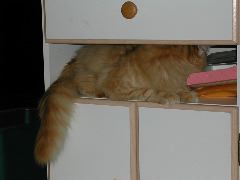 DSCN0776.JPG