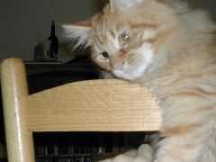 DSCN0779.JPG