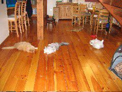 IMG_0786.JPG