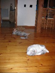 IMG_0788.JPG