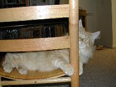 DSCN0780.JPG