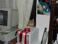 DSCN0795.JPG