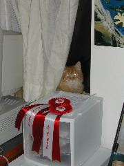 DSCN0796.JPG
